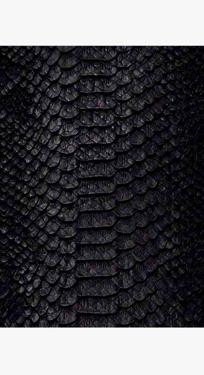 ALLURE THIGH HIGH SNAKE BOOT